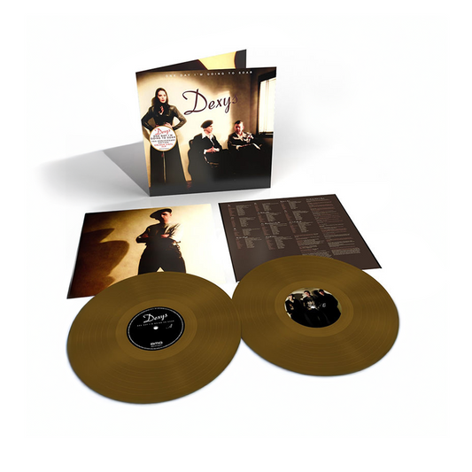 One Day I'm Going To Soar - Limited Edition Gold Vinyl 2LP
