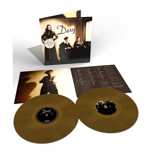 One Day I'm Going To Soar: Limited Edition Gold Vinyl 2LP